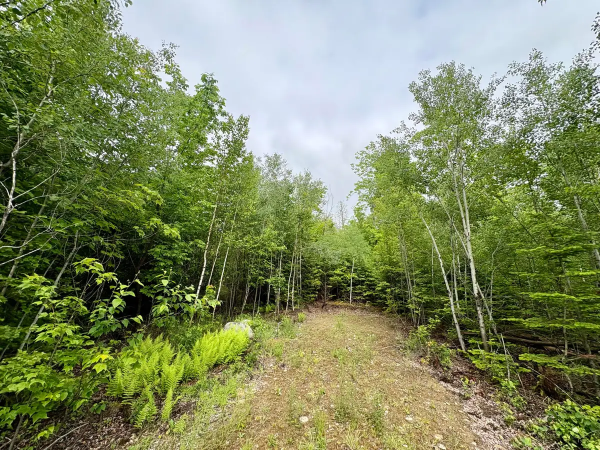 Lot 4 Mt. Jefferson Heights, Lee, ME 04455 - #1