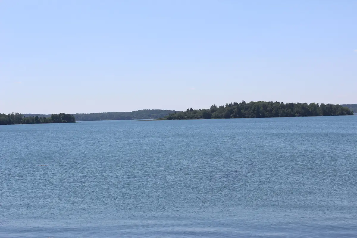 187 County Road, Eastport, ME 04631 - #1