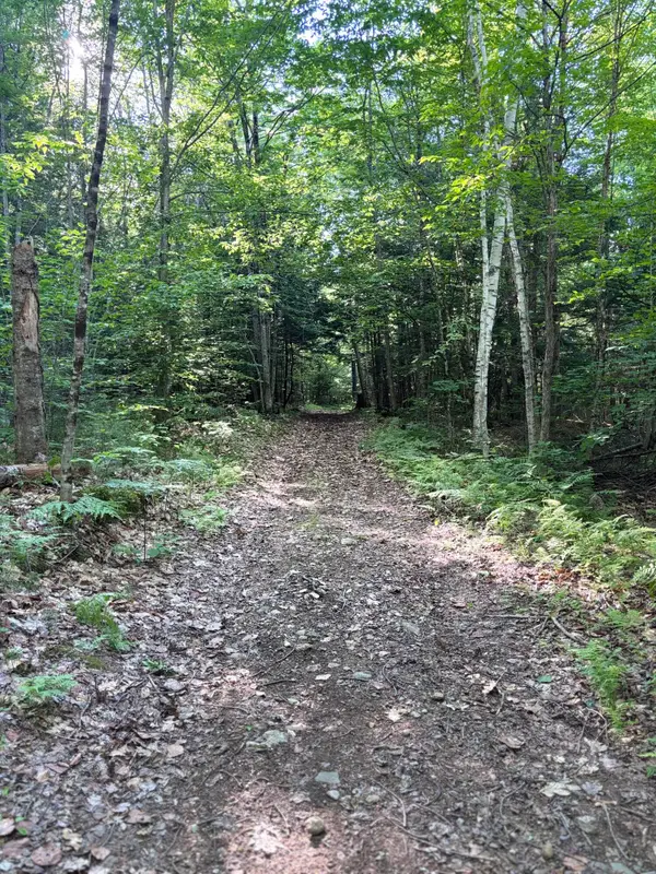 Lot #22 Streaked Mountain Road, Buckfield, ME 04220