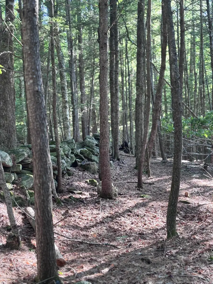 Lot #22 Streaked Mountain Road, Buckfield, ME 04220 - #2