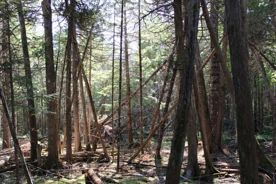 0 Mariaville Road, Mariaville, ME 04605 - #2