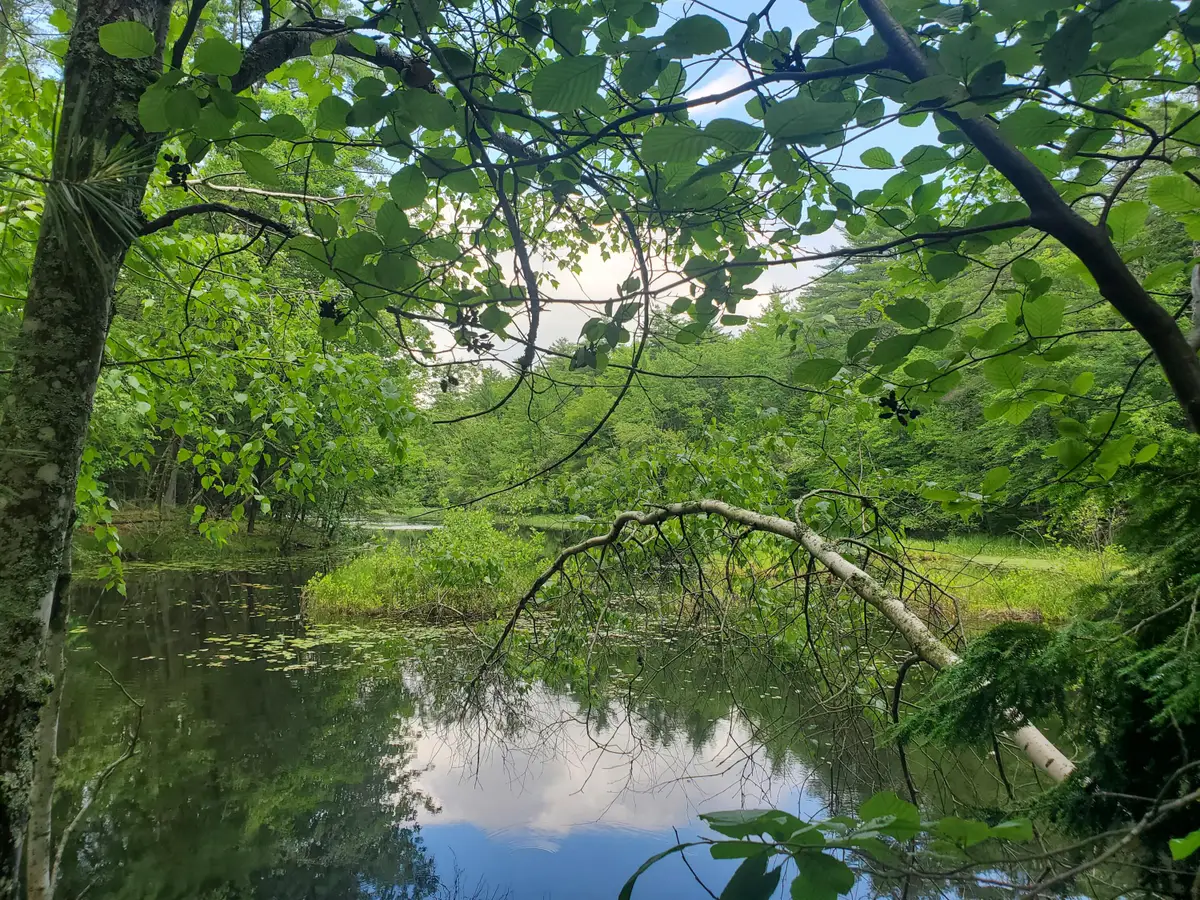 Lot #36 Beaver Brook Road, Limerick, ME 04048 - #1