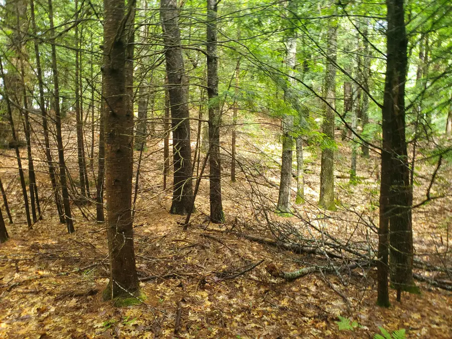 Lot #36 Beaver Brook Road, Limerick, ME 04048 - #3