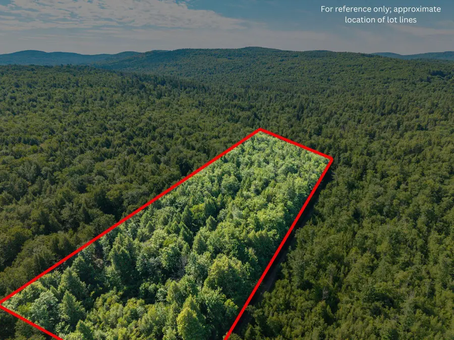 129 Hobbs Swamp Road, Parsonsfield, ME 04047 - #3