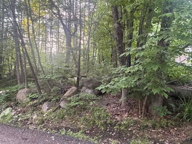 Lot 28 Lakeshore Drive, Belgrade, ME 04918 - #2