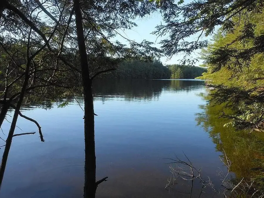 Lot 36-5 Union Falls Road, Buxton, ME 04093 - #2