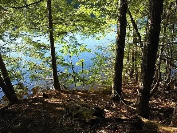 Lot 36-5 Union Falls Road, Buxton, ME 04093 - #3