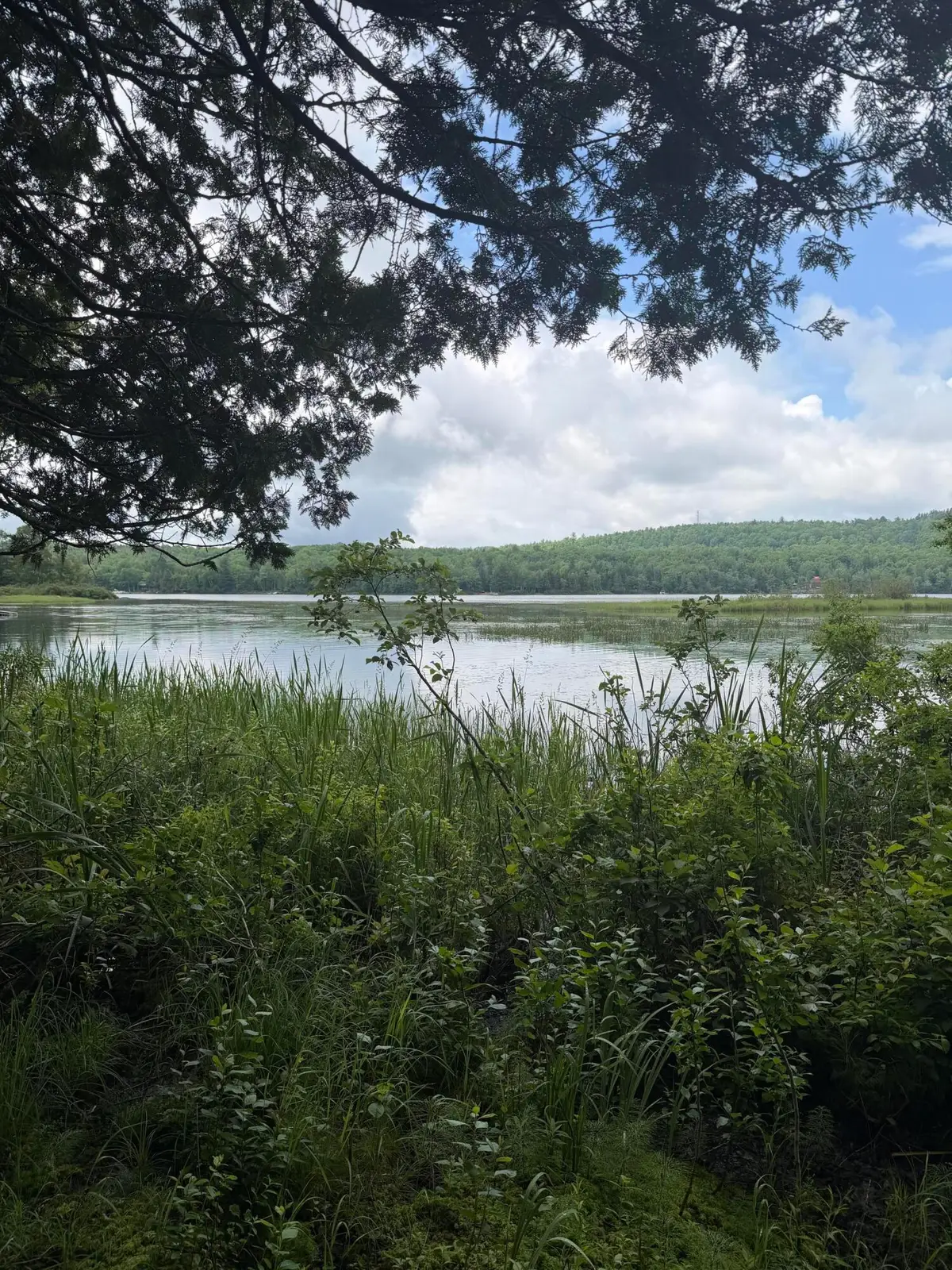 M1L112 Cove/bear Brook Road, Sebec, ME 04481 - #1