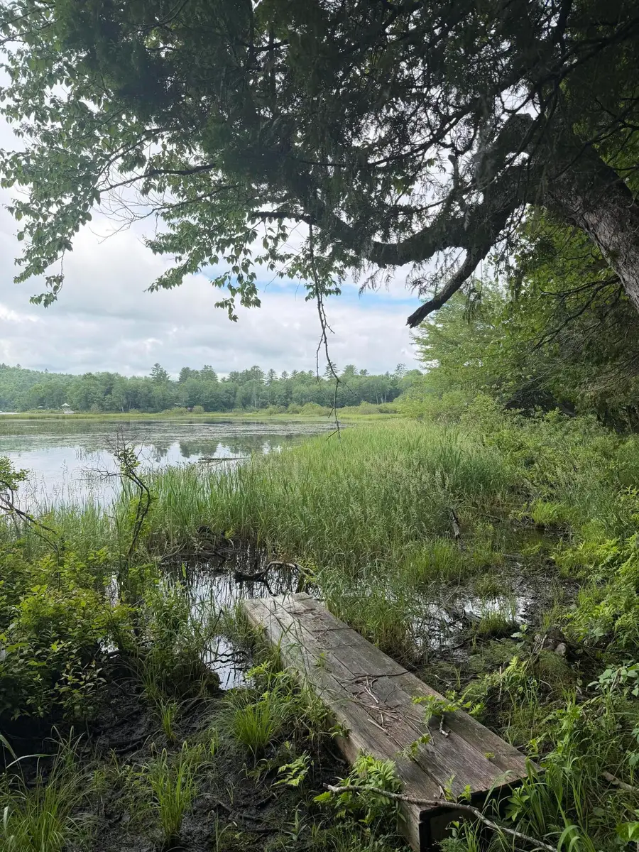 M1L112 Cove/bear Brook Road, Sebec, ME 04481 - #3