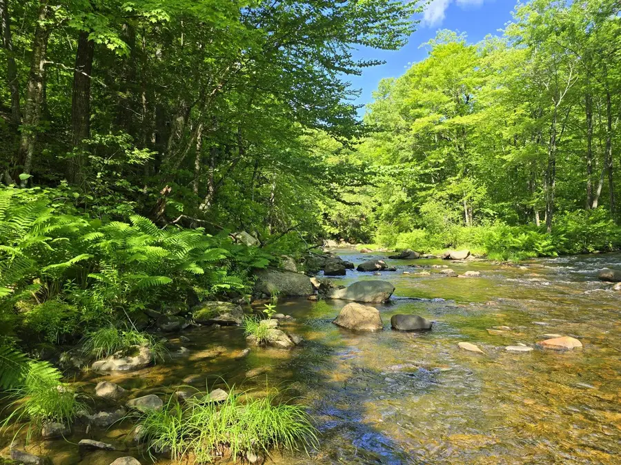 Lot 67 Temple Road, Temple, ME 04984 - #3