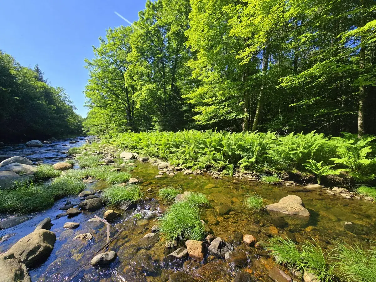 Lot 67-C Temple Road, Temple, ME 04984 - #1