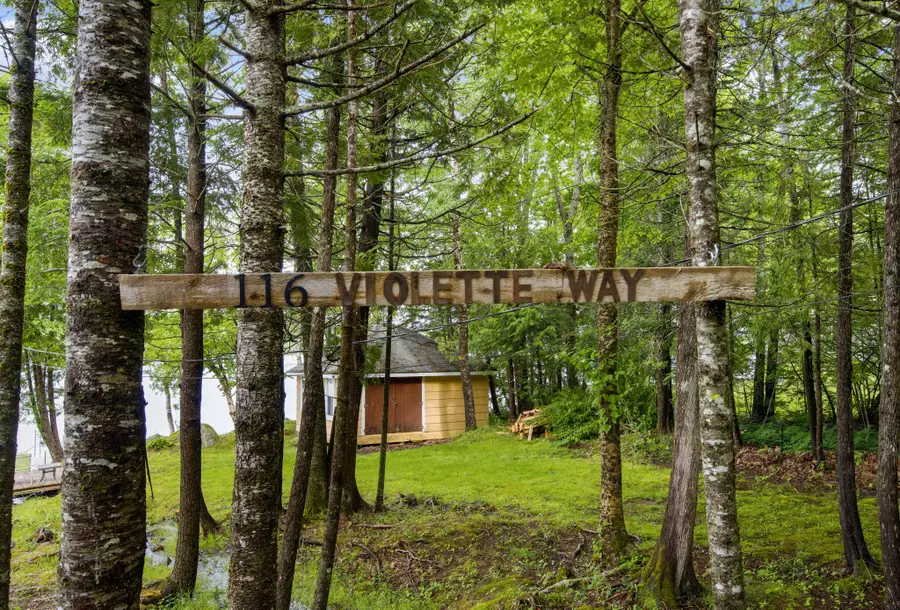 116 Violette Way, Orland, ME 04472 - #2