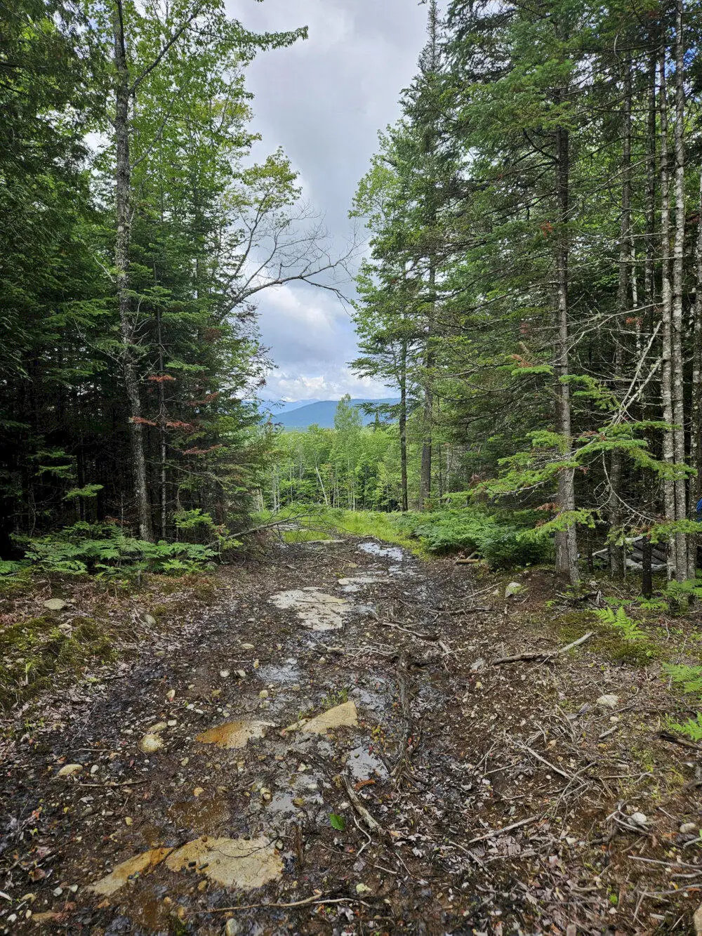 M10 L12-2 Ledge Drive, Embden, ME 04958 - #1