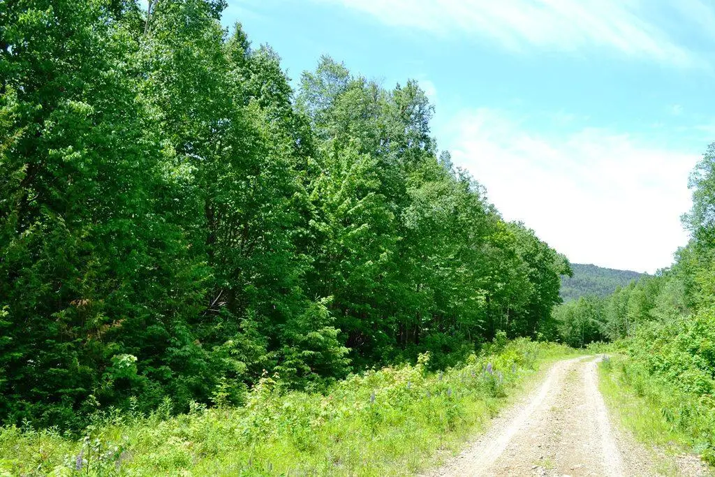 Map004/030 Ermine Road, Sandy River Plt, ME 04970 - #1