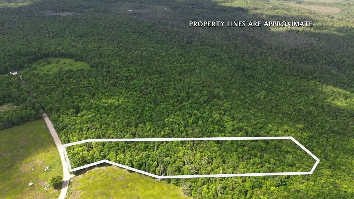 Lot 1 Martins Ridge Road, Franklin, ME 04634 - #1