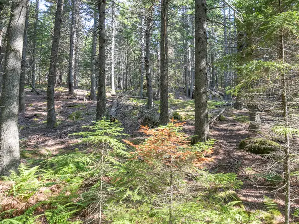 10 Island Retreat Road, Swans Island, ME 04685