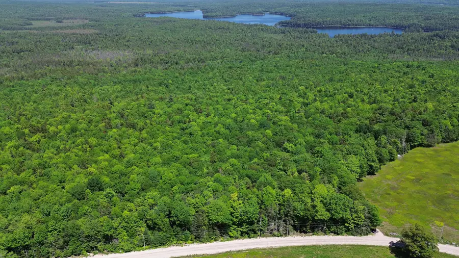 Lot 2 Martins Ridge Road, Franklin, ME 04634 - #2