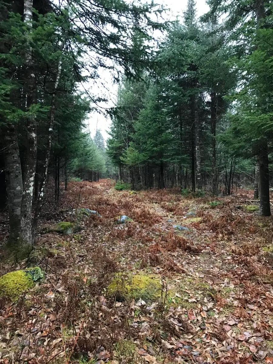 49-51 Pleasant Street, Norway, ME 04268 - #3
