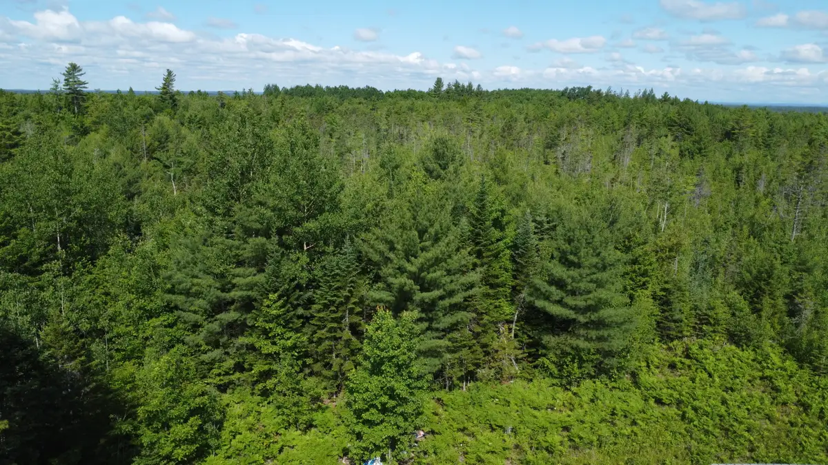030-007 Cardville Road, Greenbush, ME 04418 - #1
