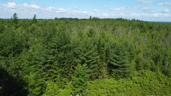030-007 Cardville Road, Greenbush, ME 04418