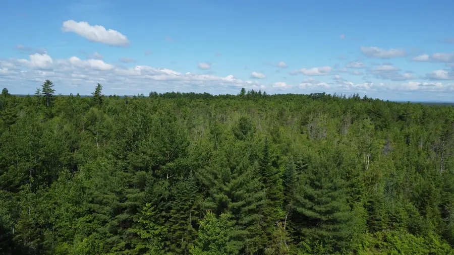 030-007 Cardville Road, Greenbush, ME 04418 - #2