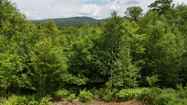 4 Youngs Road, Canton, ME 04221