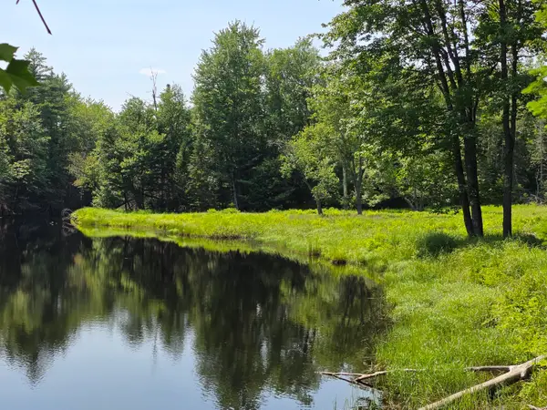 00 Brown Road, Searsmont, ME 04973