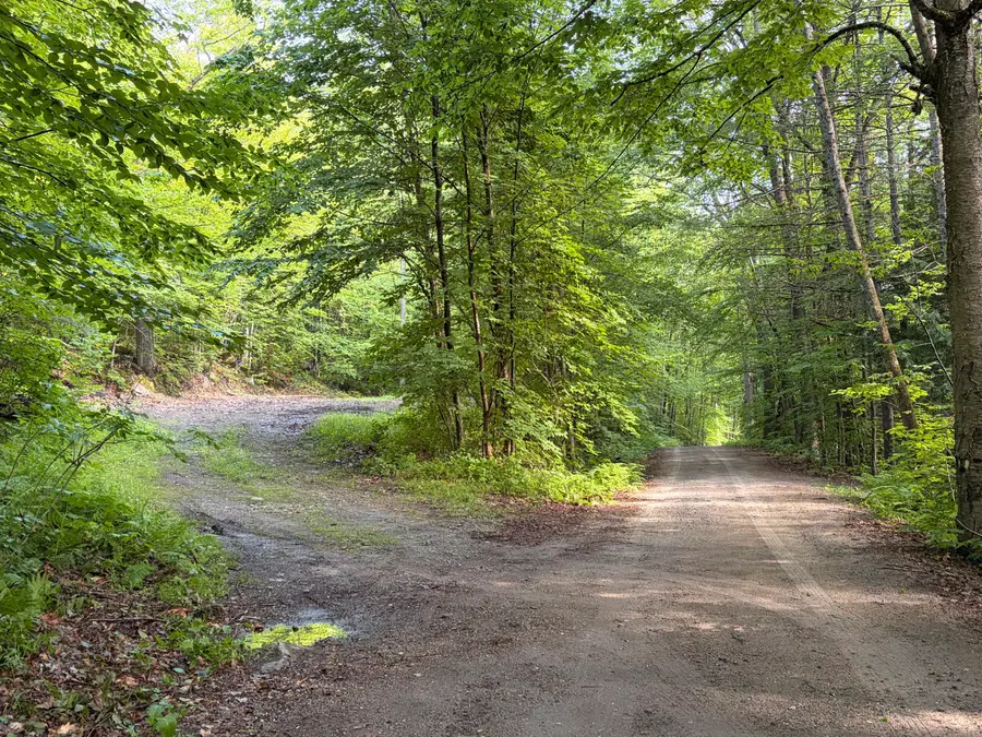 Lot 29 Pine Tree Road, Waterford, ME 04088 - #2