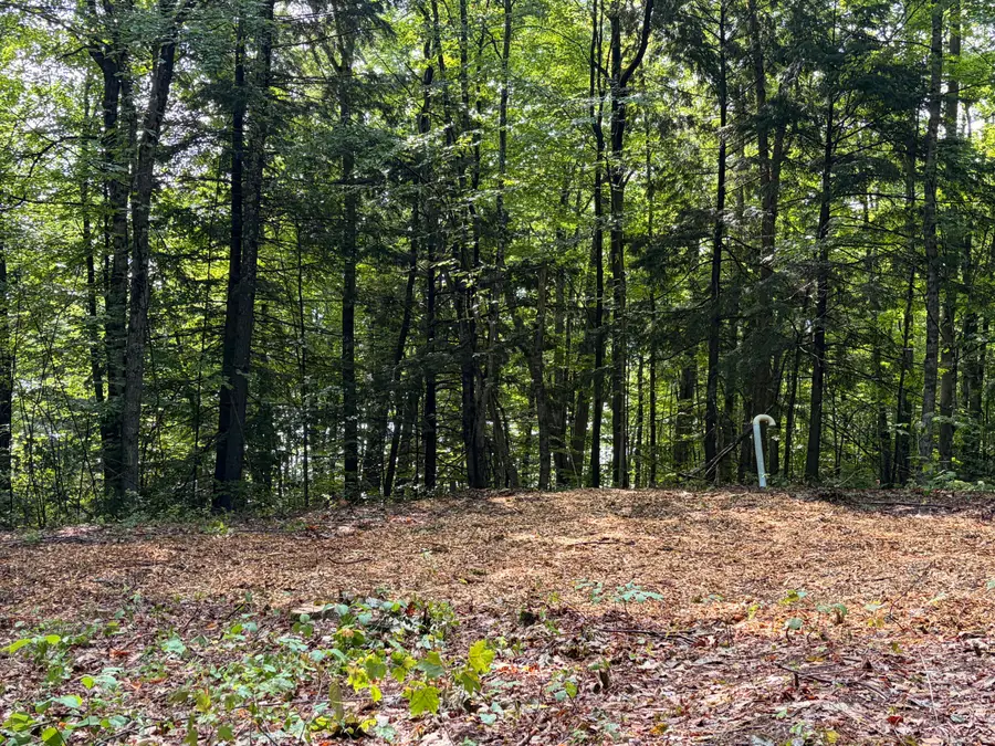 Lot 29 Pine Tree Road, Waterford, ME 04088 - #3