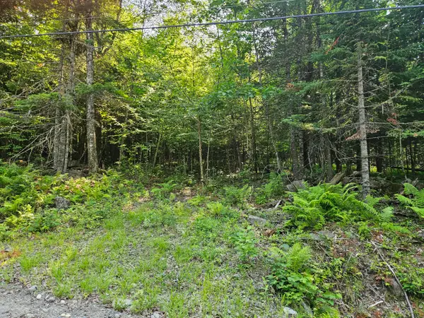 Lot 2-A Rips Road, Brownville, ME 04414