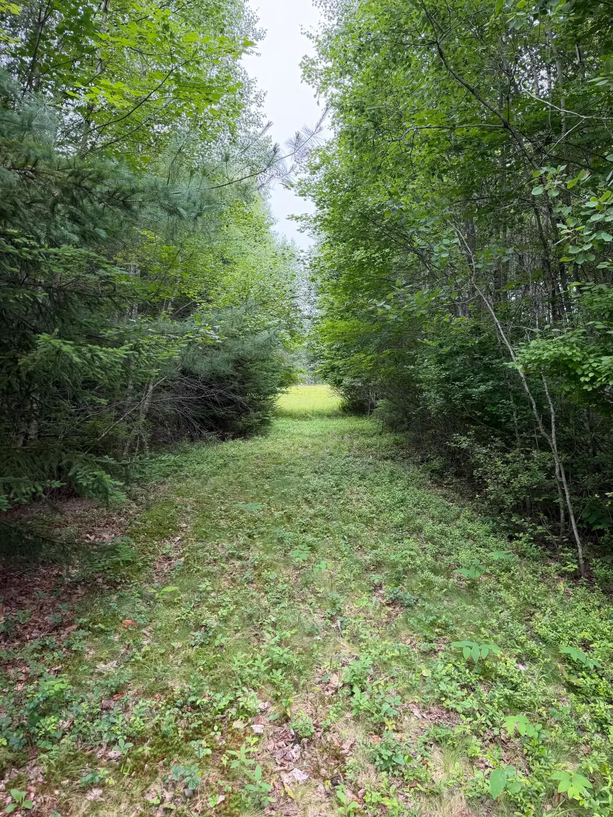 0 Ellsworth Road, Blue Hill, ME 04614 - #1