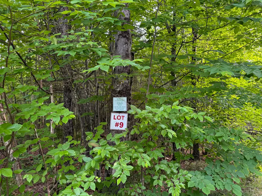 226 Western View Lane, Rumford, ME 04276 - #3