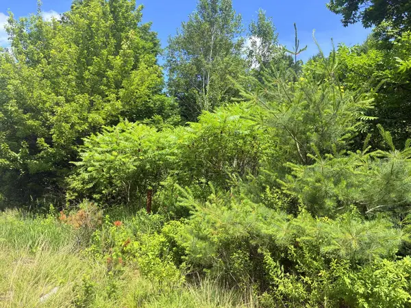 Lot 29 Auburn Road, Peru, ME 04290