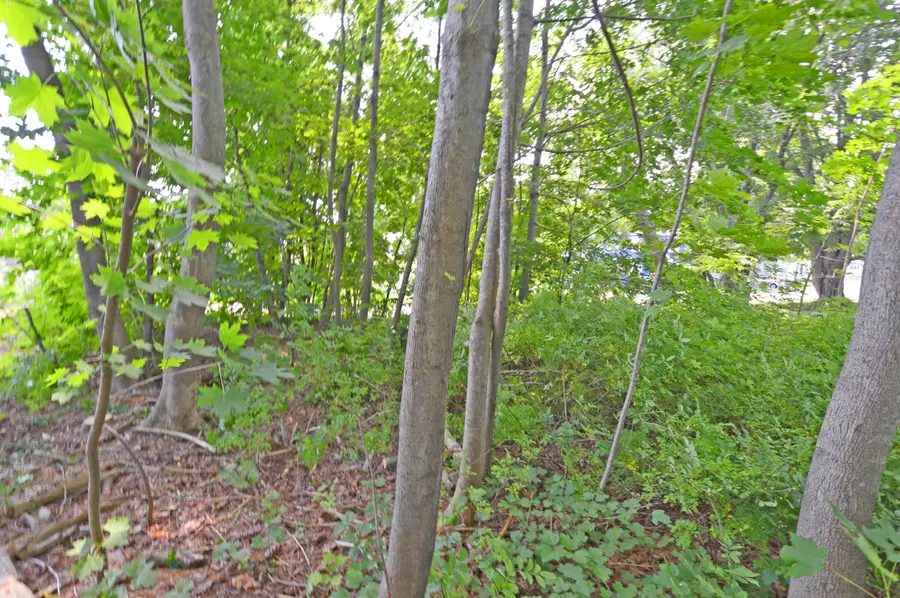 12 Lamothe Avenue, Biddeford, ME 04005 - #3