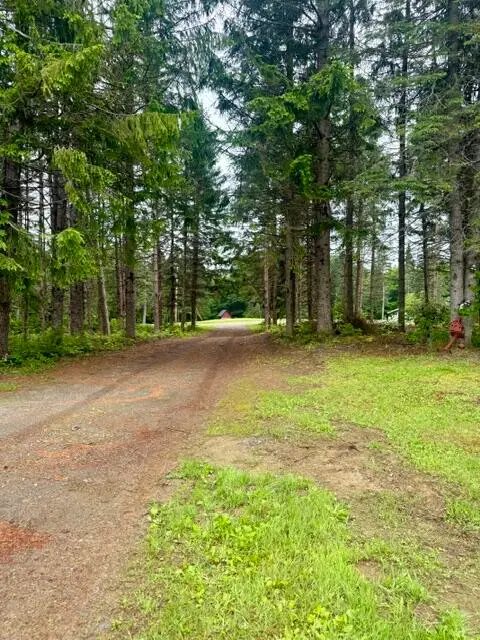 1337 E Plantation Road, Blaine, ME 04734 - #2