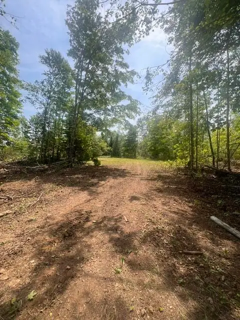 M4 P/O3 Estabrook Road, Amity, ME 04471