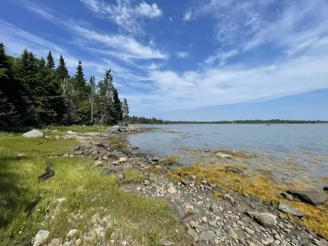 51 Bay Drive, Addison, ME 04606 - #1