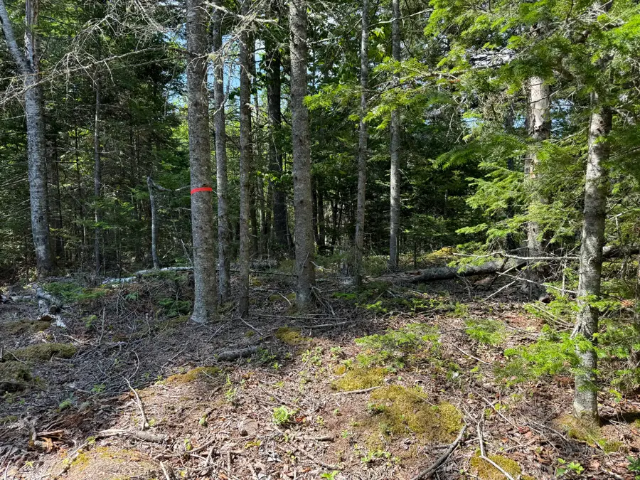 M6L21 Great Cove Road, Roque Bluffs, ME 04654 - #2