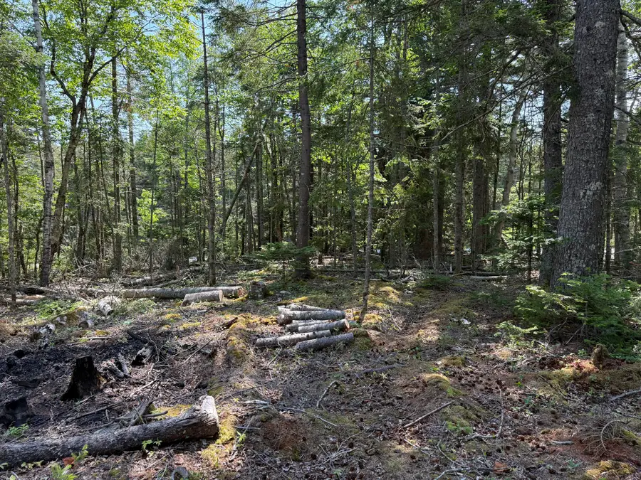 M6L21 Great Cove Road, Roque Bluffs, ME 04654 - #3