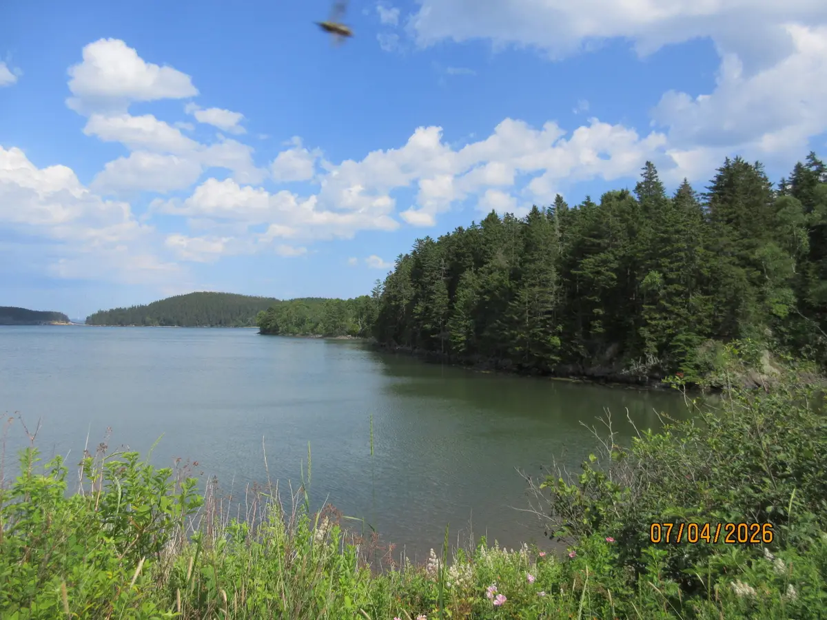 Lot 1 Smalls Point Road, Machiasport, ME 04655 - #1