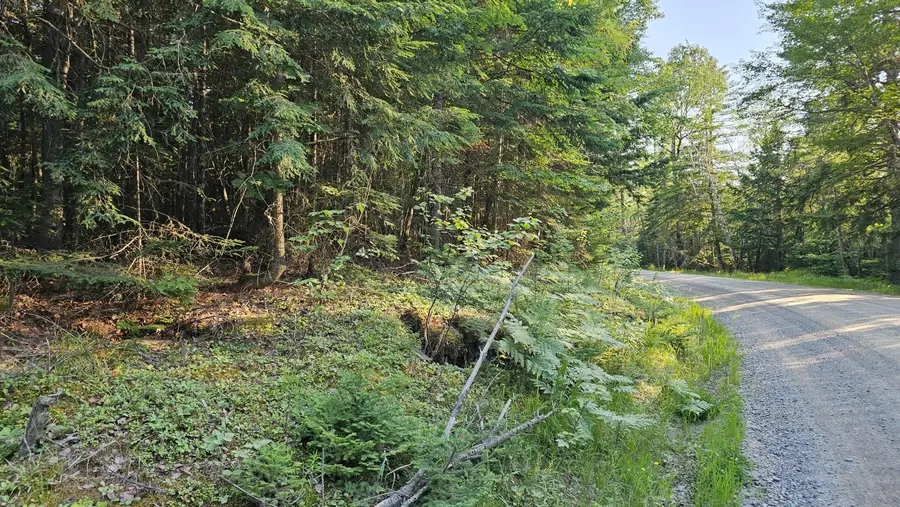 01-Lot 26 County Road, East Central Penobscot, ME 04461 - #2
