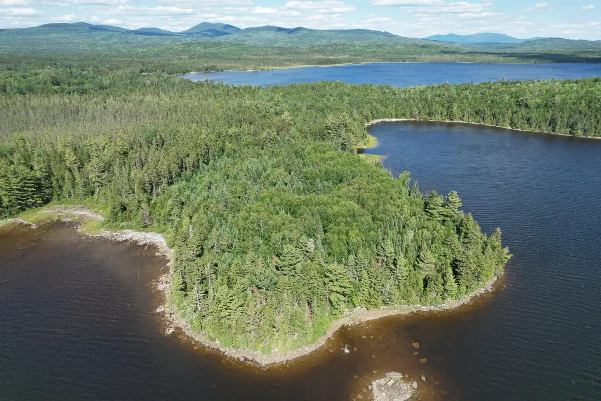Lot I Pleasant Island Lane, North Oxford, ME 04970 - #1