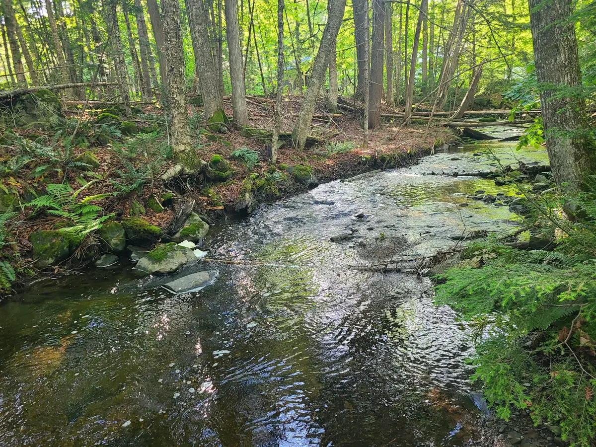 36 Ladd Road #36, Sebec, ME 04481 - #1