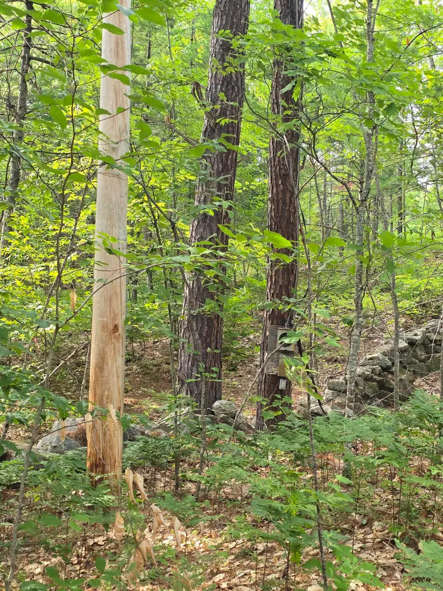 29C Shepherds River Road, Brownfield, ME 04010 - #3