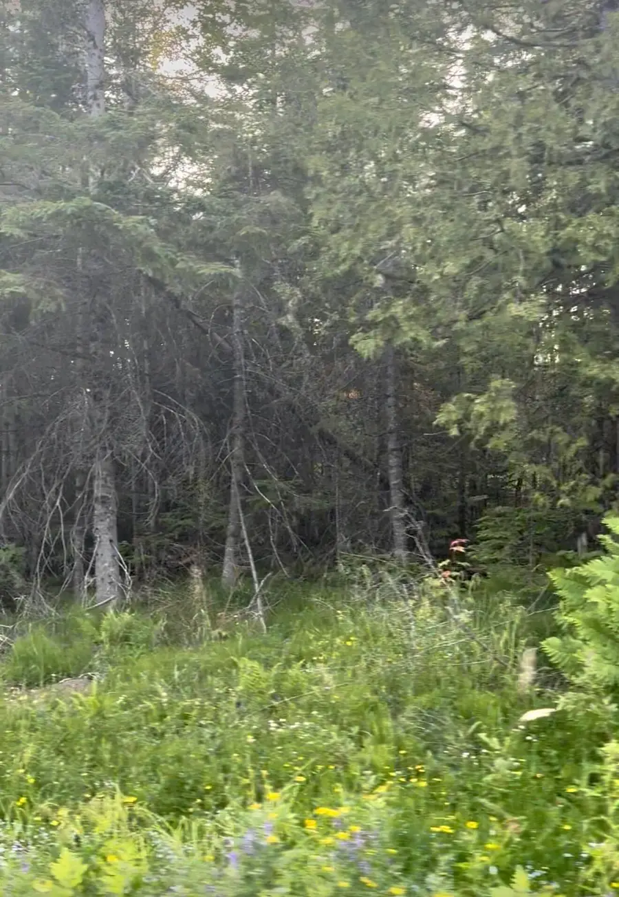 M24 L25B Lavertu Road, Madawaska, ME 04756 - #3