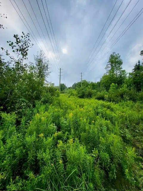 Lot 7 Brown Road, Oakfield, ME 04763 - #2