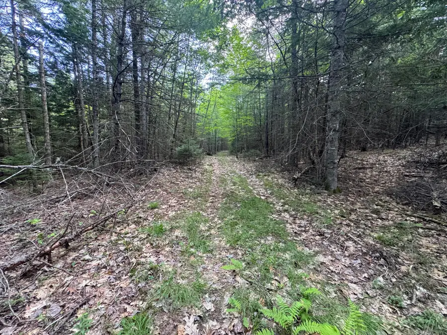 Map67Lot5 Morrill Road, China, ME 04358 - #2