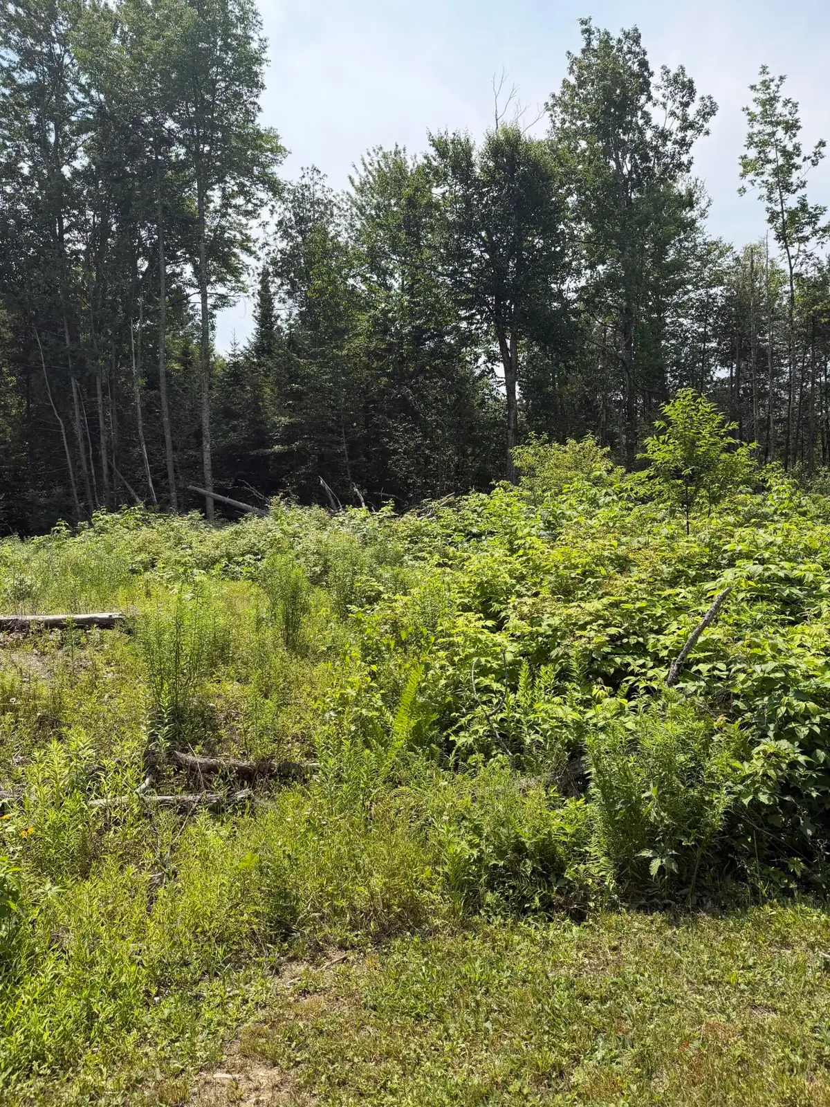 M6L23-4 Pinewood Drive, Corinth, ME 04427 - #1
