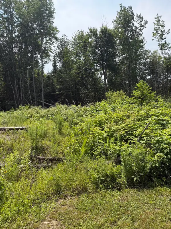 M6L23-4 Pinewood Drive, Corinth, ME 04427