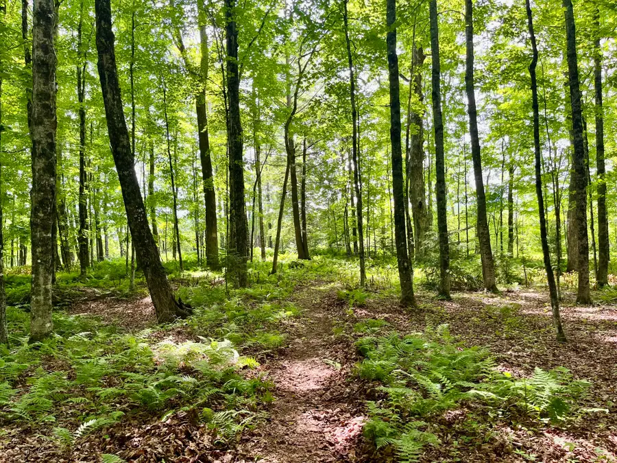 0 Benson Hill Road #Map016,Lot009, West Paris, ME 04289 - #3